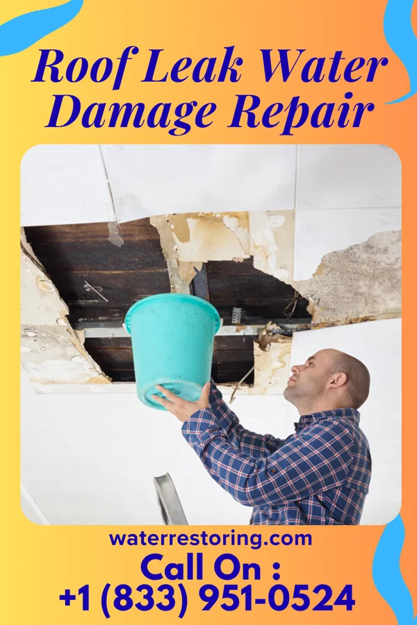 Roof Leak Water Damage Repair in Robbins, NC